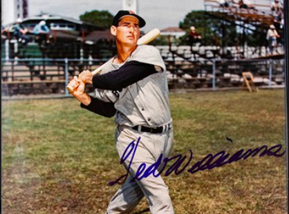 Ted Williams